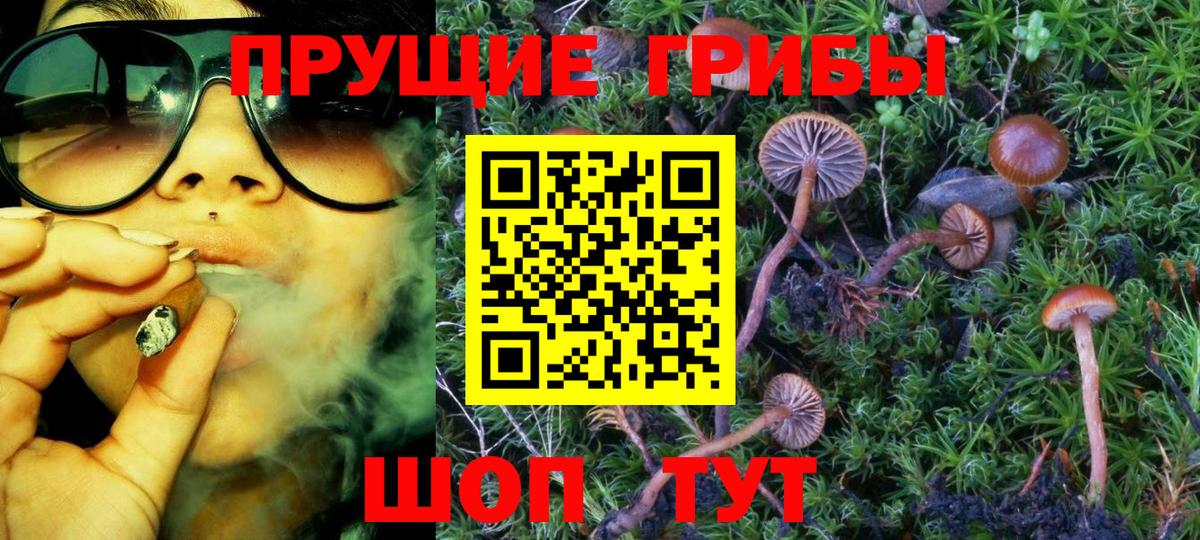 Галлюциногенные грибы MAGIC MUSHROOMS Нововоронеж
