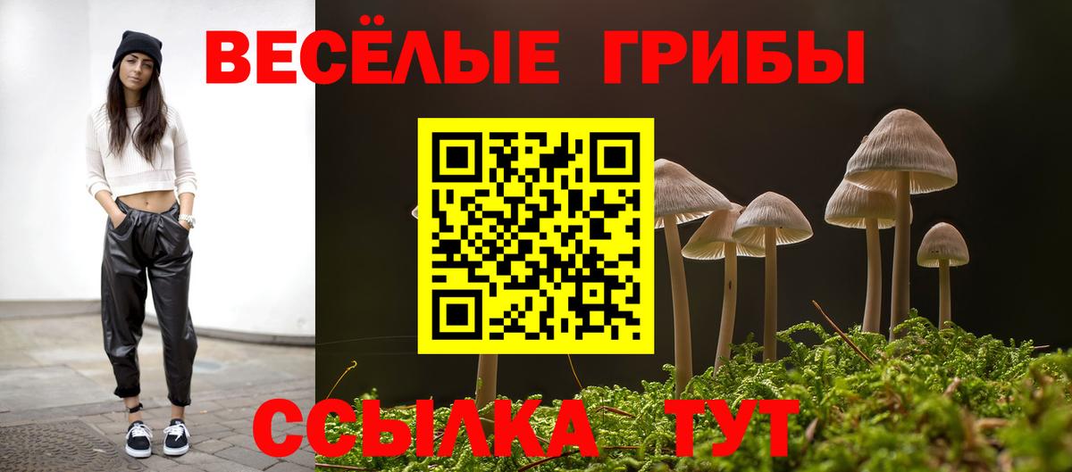 Нововоронеж  Галлюциногенные грибы Psilocybe  Вход с VPN 